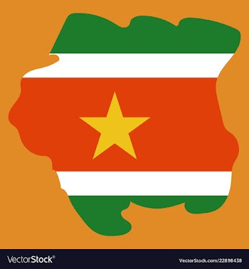 Map outline and flag of suriname a horizontal vector image
