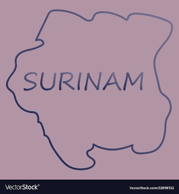 Map outline and flag of suriname a horizontal vector image