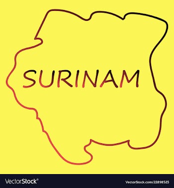 Map outline and flag of suriname a horizontal vector image