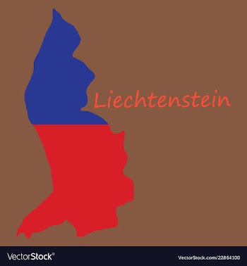 Map outline country shaped and flag of vector image