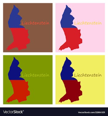 Map outline country shaped and flag of vector image