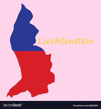 Map outline country shaped and flag of vector image