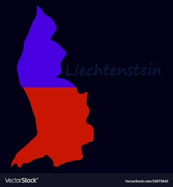 Map outline country shaped and flag of vector image