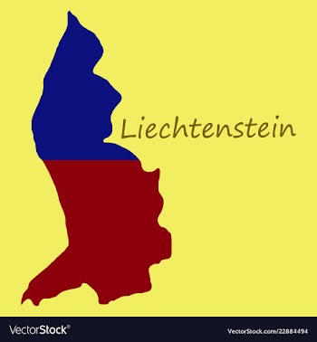 Map outline country shaped and flag of vector image