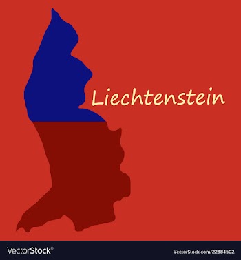 Map outline country shaped and flag of vector image