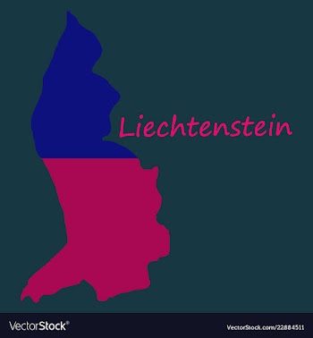 Map outline country shaped and flag of vector image