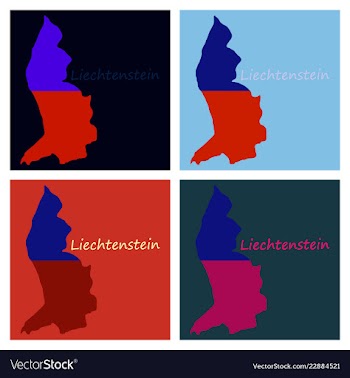 Map outline country shaped and flag of vector image