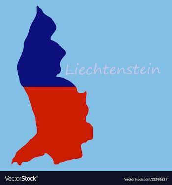 Map outline country shaped and flag of vector image