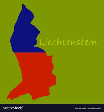 Map outline country shaped and flag of vector image