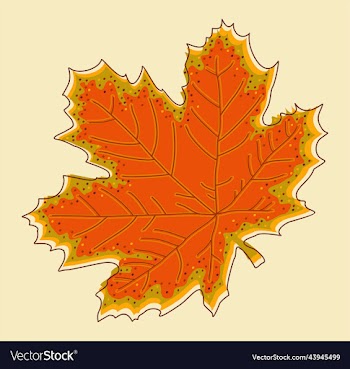 maple