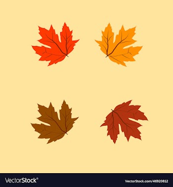 maple 4 leafs maple template with copy space
