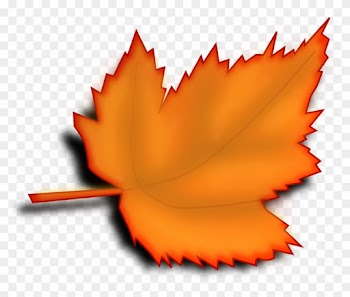 Maple, Autumn, Fall, Leaf, Orange - Leaf Clipart No Background