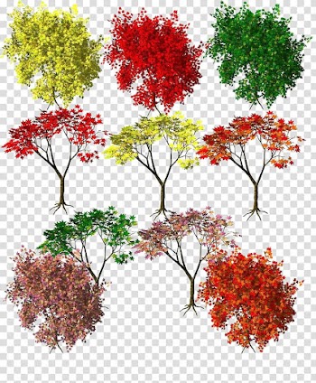 Maple Autumn leaf color Autumn leaf color Red, Autumn leaves Seasons transparent background PNG clipart