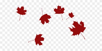 Maple Falling Wind Red Leaves Nature Autum - Grape Leaf Clip Art