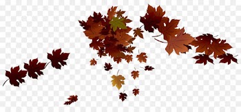 Maple leaf