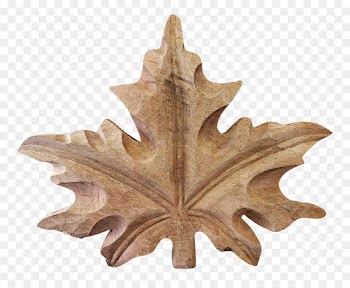 Maple leaf