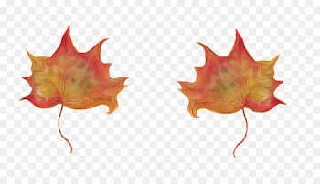Maple leaf