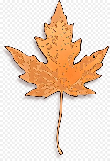 Maple leaf