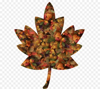 Maple leaf