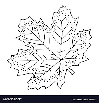 maple leaf