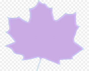 Maple leaf