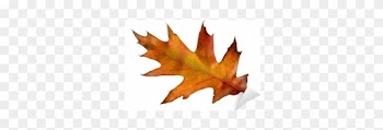 Maple Leaf