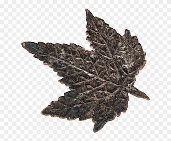 Maple Leaf