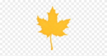 Maple Leaf