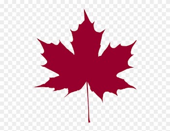 Maple Leaf - Вектор Кленовый Лист