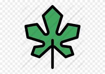 Maple Leaf