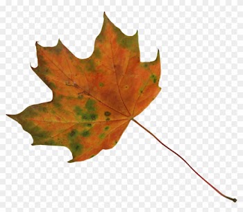 Maple Leaf 2 Orange And Green Precut Png By Nexu4 - Green And Orange Leaf