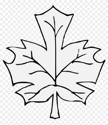 Maple Leaf - Art