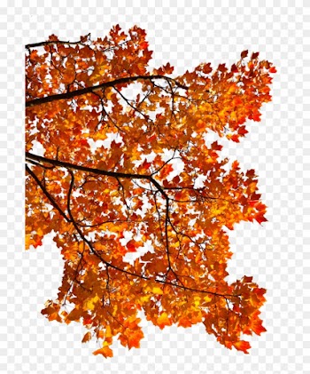 Maple Leaf Autumn Android Clip Art - Maple Leaf Autumn Android Clip Art
