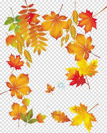 Maple leaf Autumn, autumn leaves transparent background PNG clipart