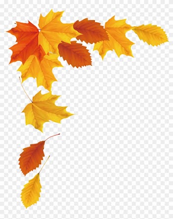 Maple Leaf Autumn - Autumn Vector Png