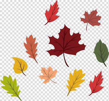 Maple leaf Autumn Deciduous, Colorful autumn leaves transparent background PNG clipart