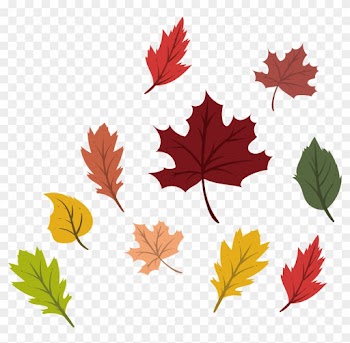 Maple Leaf Autumn Deciduous - Maple Leaf