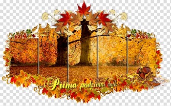 Maple leaf Autumn Fototapet, autumn transparent background PNG clipart