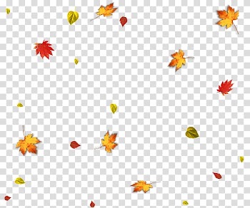 Maple leaf, Autumn Leaf , Autumn leaves falling transparent background PNG clipart