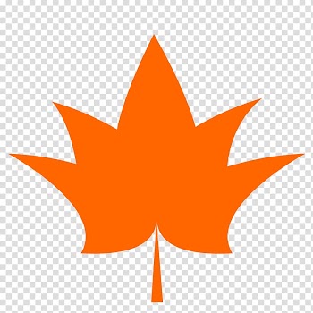 Maple leaf Autumn leaf color , autumn leaves transparent background PNG clipart