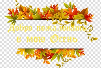 Maple leaf Autumn leaf color, autumn transparent background PNG clipart
