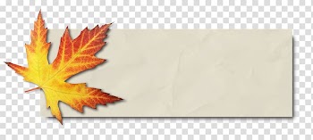 Maple leaf Autumn leaf color Bàner , autumn transparent background PNG clipart