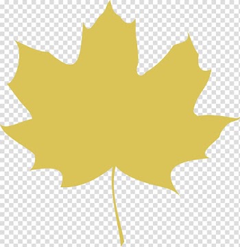 Maple leaf Autumn leaf color Computer Icons , autumn logo collection yellow leaves red maple lea transparent background PNG clipart