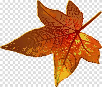 Maple leaf Autumn leaf color , fall transparent background PNG clipart