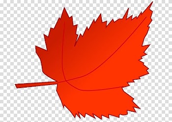 Maple leaf Autumn leaf color , feuilledautomne transparent background PNG clipart