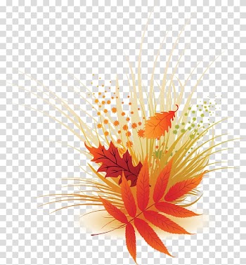 Maple leaf Autumn leaf color Green, Leaf transparent background PNG clipart