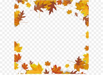 Maple leaf Autumn leaf color - Maple leaf background 