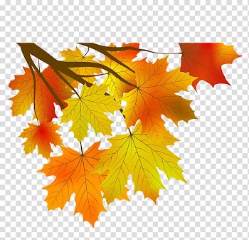 Maple leaf Autumn, Leaf transparent background PNG clipart