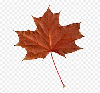 Maple Leaf Autumn Leaves Clip Art - Maple Leaf Autumn Leaves Clip Art
