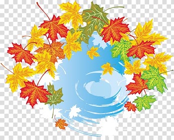 Maple leaf Autumn Leaves Graphics, autumn leaves transparent background PNG clipart
